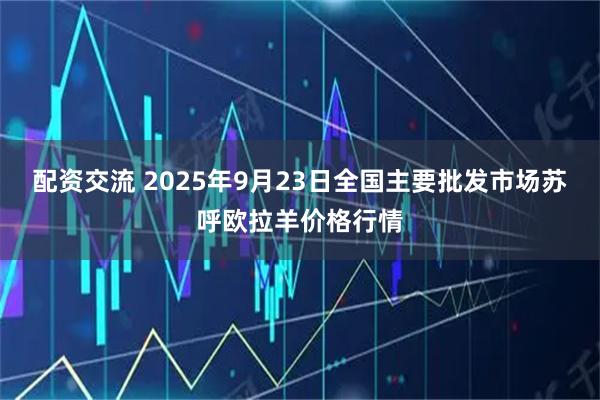 配资交流 2025年9月23日全国主要批发市场苏呼欧拉羊价格行情